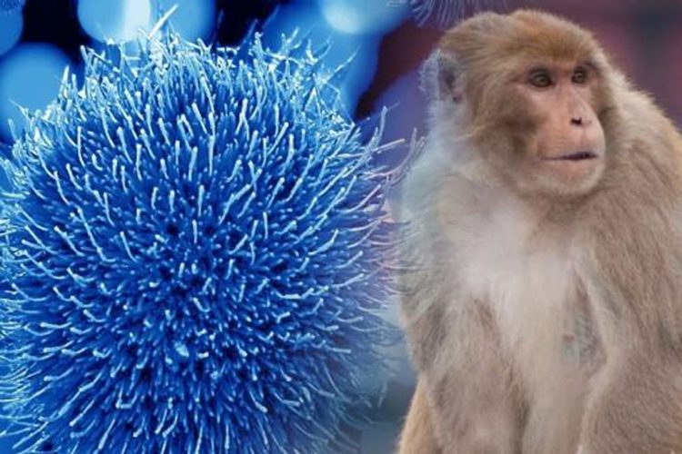 Cómo evoluciona el paciente con sospecha de tener la viruela del mono