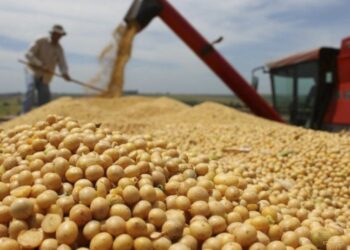 Arribaron casi dos millones de dosis de vacuna anticovid del laboratorio Moderna