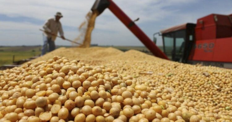 A pesar de la suba de exportaciones el superávit comercial habría bajado un 25% en mayo