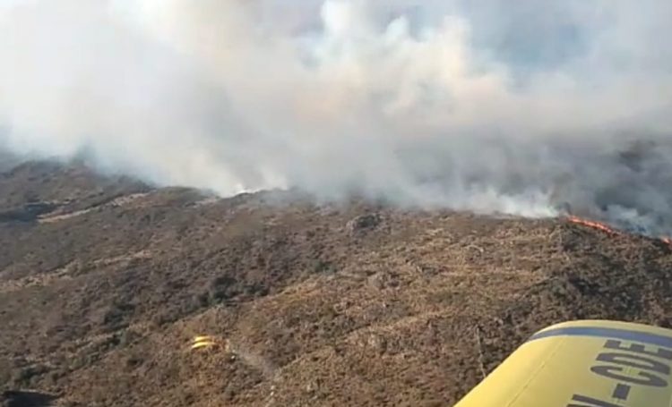 Rige la emergencia ambiental por el alto riesgo de incendio