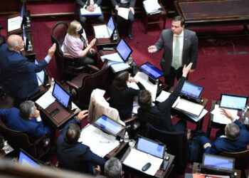 El Senado retomó los debates en el recinto con leyes de consenso
