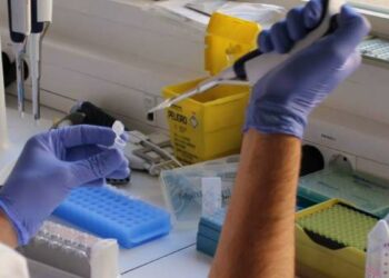 El Gobierno pide vacunarse contra la fiebre hemorrágica