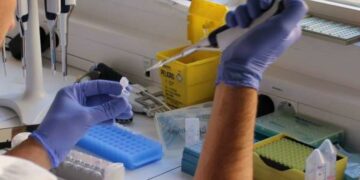 El Gobierno pide vacunarse contra la fiebre hemorrágica