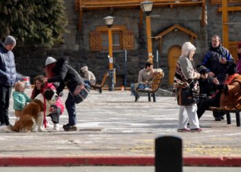 Alto nivel de ocupación en todo el país y micros de larga distancia operan al 100%