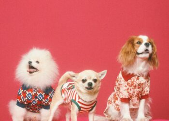 Gucci se suma a la ola y lanza su colección para mascotas