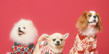 Gucci se suma a la ola y lanza su colección para mascotas