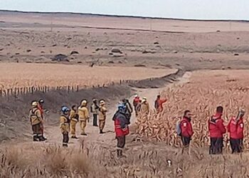 Fue hallada sin vida la mujer desaparecida en el sur cordobés