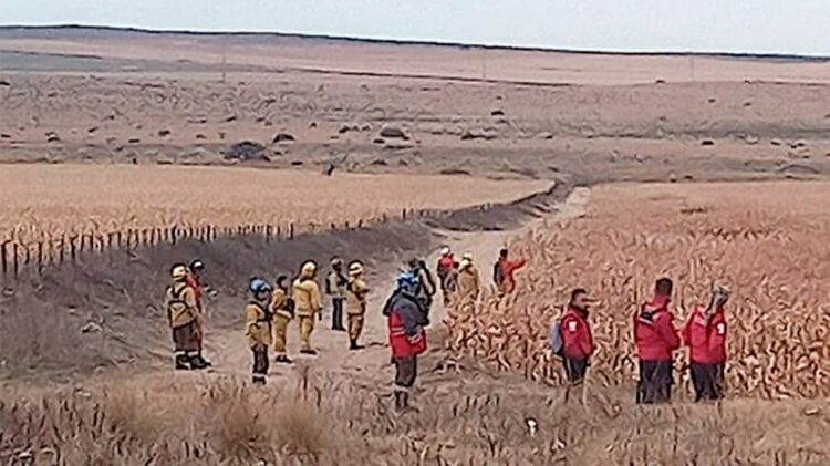 Fueron 20 días de intensa búsqueda. Foto gentileza de Puntal.