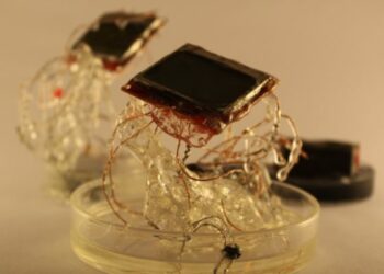 Abren un laboratorio interactivo de arte y tecnología