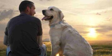 Estudios confirman que existe la fidelidad de los perros hacia los humanos