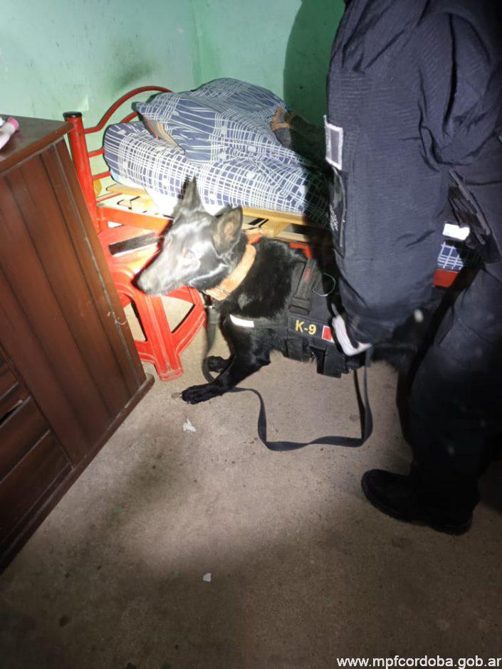Detienen a un narcomenudista que enterraba la droga en el patio de su casa