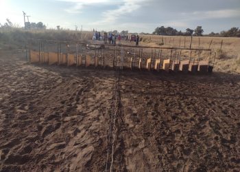 Desarticularon una carrera clandestina de perros galgo