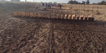 Desarticularon una carrera clandestina de perros galgo