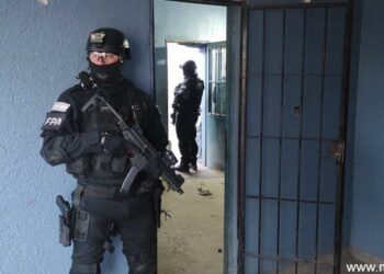 Detienen a un narcomenudista que enterraba la droga en el patio de su casa