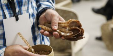 Para evitar generar desechos, se utilizan elementos hechos con materiales reciclados