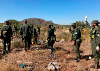Un hombre con esquizofrenia se autoincriminó por el caso de Guadalupe Lucero