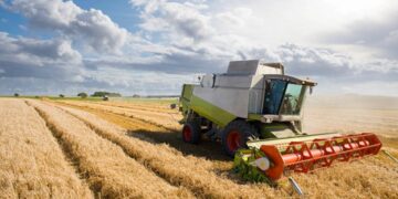 El BNA vuelve a ofrecer la opción de inversión en plazos fijos atados al dólar para el agro