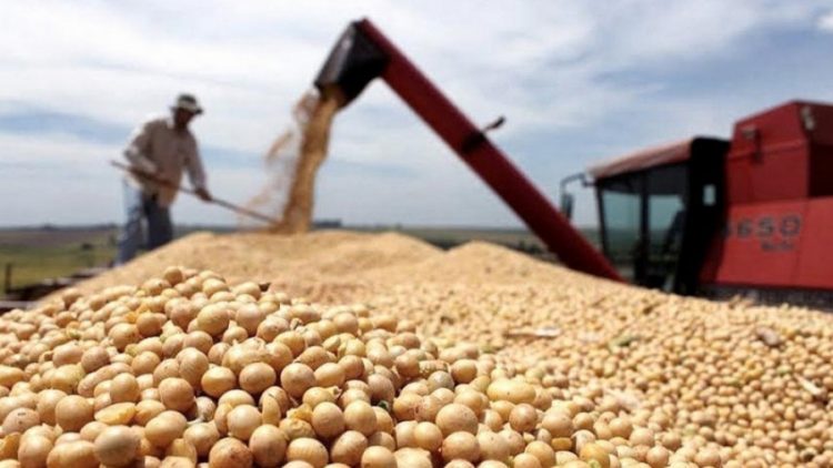Massa destacó la liquidación de exportaciones de soja