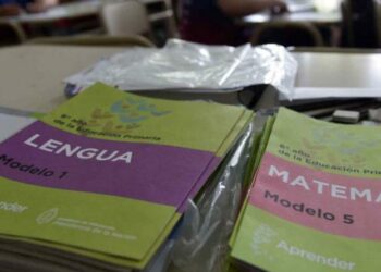 Pruebas Aprender: la desigualdad social asoma como un desafío a futuro