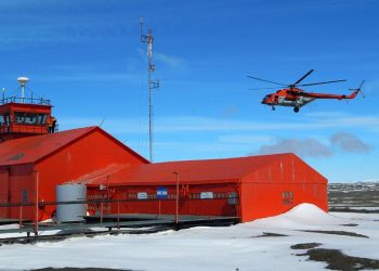 Argentina producirá verduras en la Antártida a través de cultivos hidropónicos