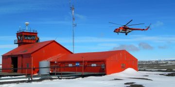 Argentina producirá verduras en la Antártida a través de cultivos hidropónicos