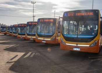 Coniferal incorpora 30 nuevos colectivos