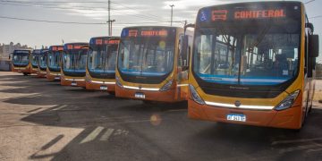 Coniferal incorpora 30 nuevos colectivos