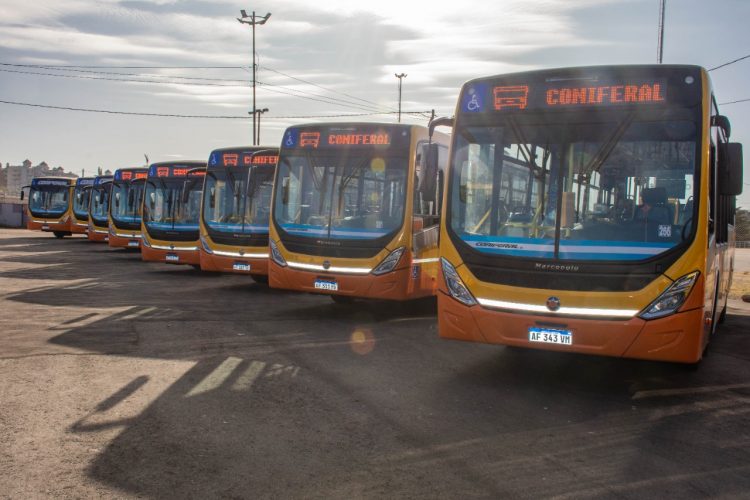 Coniferal incorpora 30 nuevos colectivos