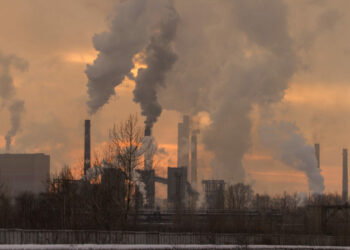 La Agencia Europea de Medio Ambiente informó que la contaminación causa más del 10 % de los casos de cáncer