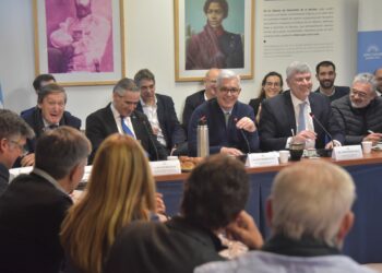 El schiarettismo le reclamó a Domínguez en Diputados por la falta de certezas para el sector agroindustrial