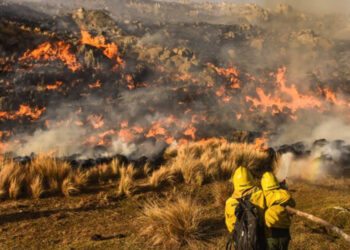 Córdoba refuerza la prevención contra los incendios después los primeros focos forestales del año