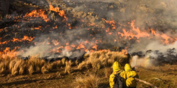 Córdoba refuerza la prevención contra los incendios después los primeros focos forestales del año