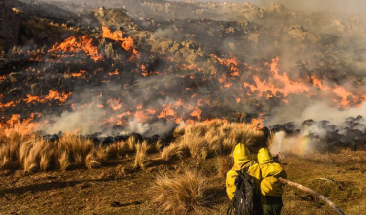 Córdoba refuerza la prevención contra los incendios después los primeros focos forestales del año