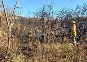 Bomberos controlaron los incendios en el Valle de Punilla
