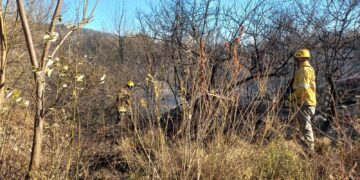 Bomberos controlaron los incendios en el Valle de Punilla