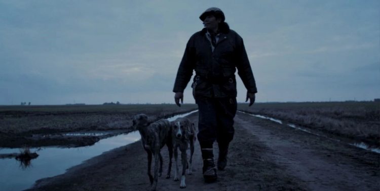 Un gaucho de Venado Tuerto aseguró que subió a un Ovni y olvidó a su perro adentro