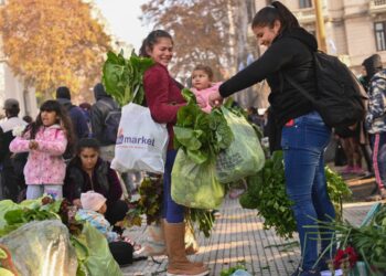 La UCA y Cáritas piden acciones urgentes para atender la pobreza estructural