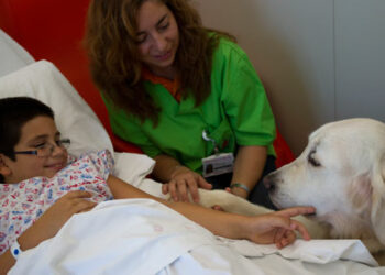 Un hospital de Colombia permite que las mascotas visiten a los pacientes internados
