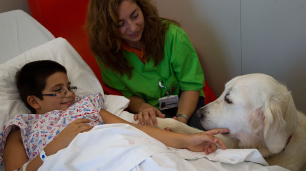 Un hospital de Colombia permite que las mascotas visiten a los pacientes internados