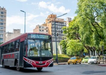 Cómo funcionarán los servicios este fin de semana largo en Córdoba