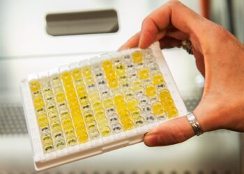 The Lancet destacó un estudio sobre Sinopharm realizado por el PAMI y el Conicet