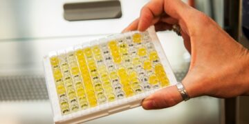 The Lancet destacó un estudio sobre Sinopharm realizado por el PAMI y el Conicet