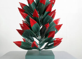 Apreciar la cultura local