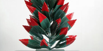 Apreciar la cultura local