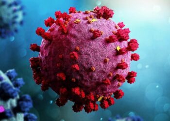 Estos son los síntomas que vienen con “Centaurus”, la nueva variante del Covid