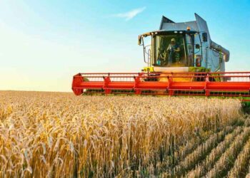 Productores deberán informar dos veces al año el volumen de la producción de granos