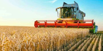 Productores deberán informar dos veces al año el volumen de la producción de granos