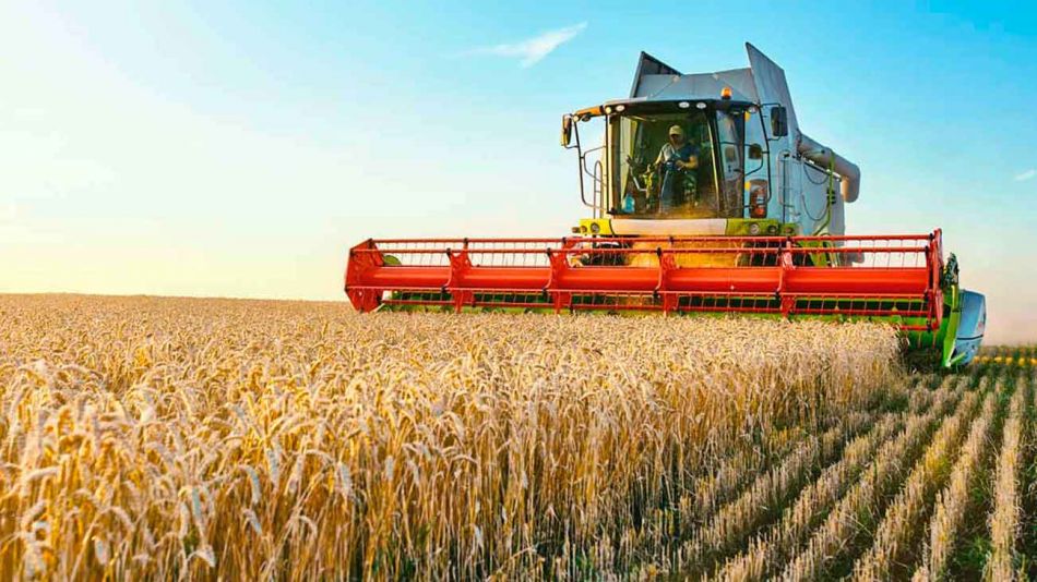 La exportación de granos tuvo una caída interanual del 41%