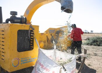 Los restos de poda ahora tendrán un ciclo más útil y sustentable