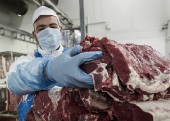Creció la producción y el consumo de carne bovina en el primer semestre